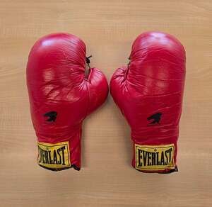 Everlast Vintage Boxing Gloves Size 16 Red Leather 538